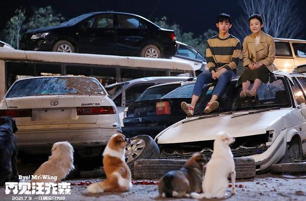 电影《再见汪先森》发布终极海报 守护你就是守护我的全世界